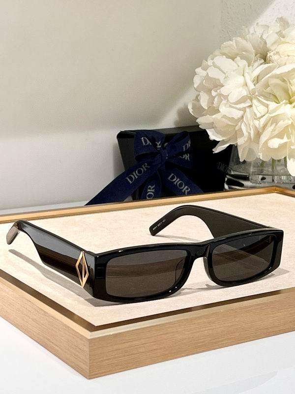 DIOR Sunglasses 229